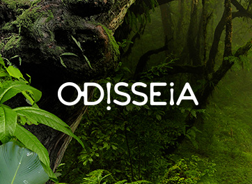 Redes Sociais Odisseia